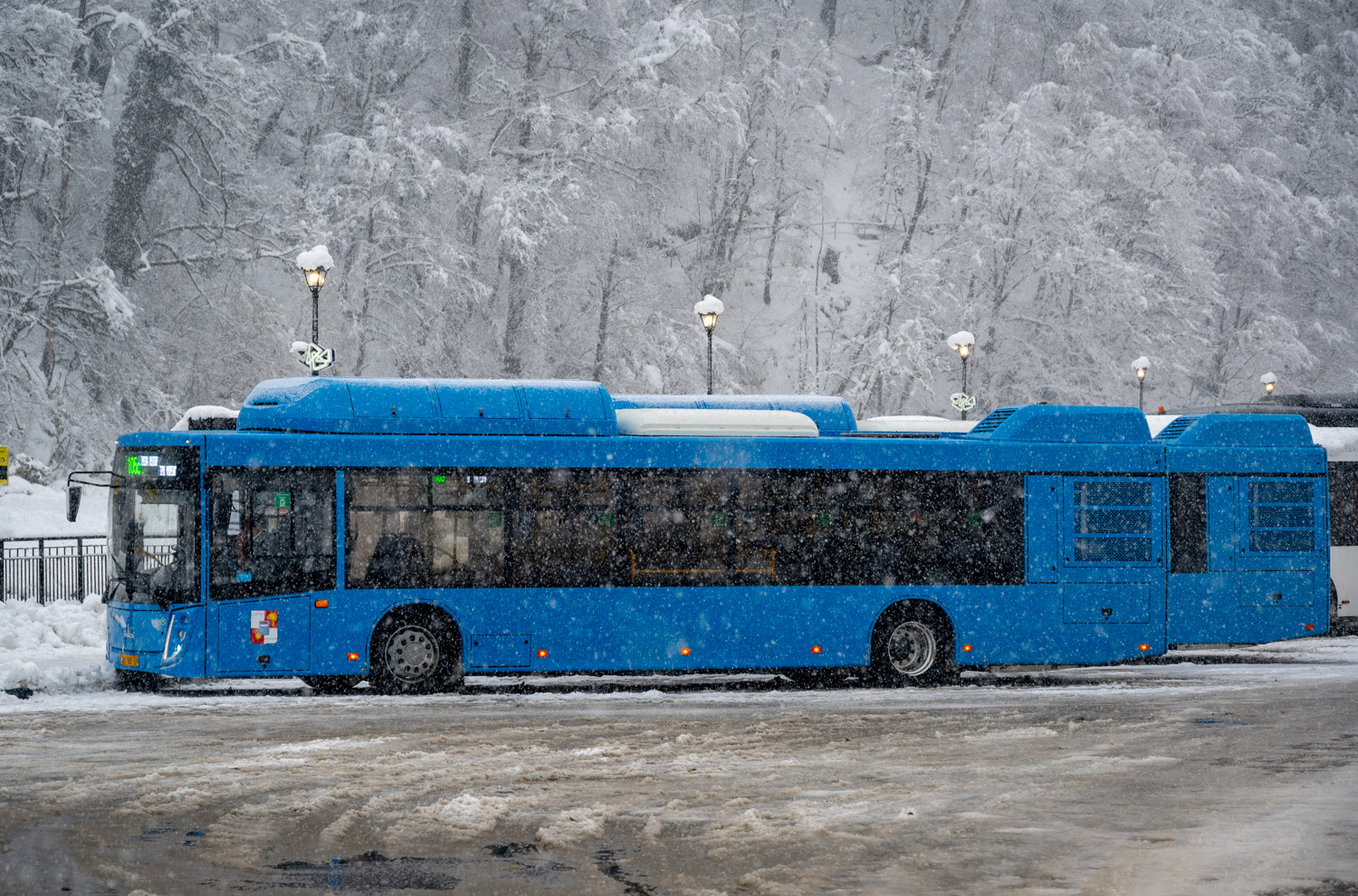 Краснодарский край, МАЗ-203.С65 № АЕ 165 23