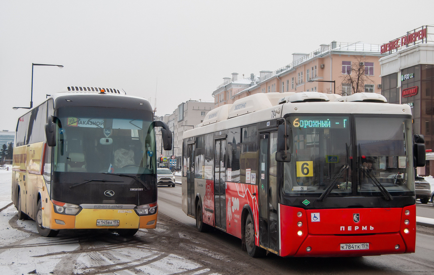 Пермский край, King Long XMQ6129Y № К 145 ВА 159; Пермский край, НефАЗ-5299-30-51 № К 784 ТК 159