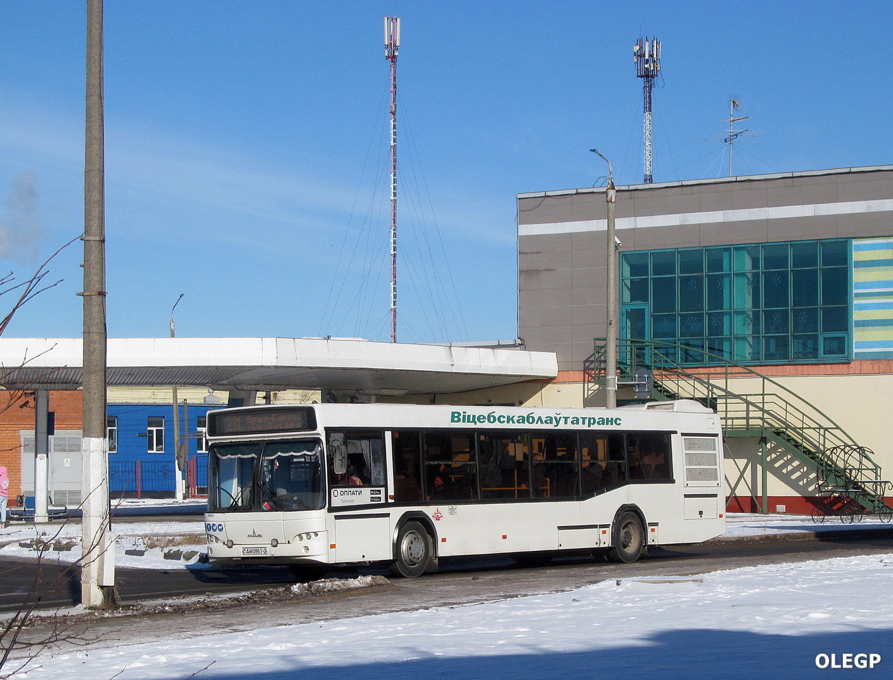 Витебская область, МАЗ-103.486 № 10033