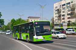 3976 КБ