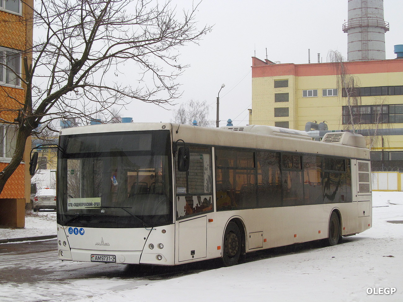 Витебская область, МАЗ-203.045 № АМ 9731-2
