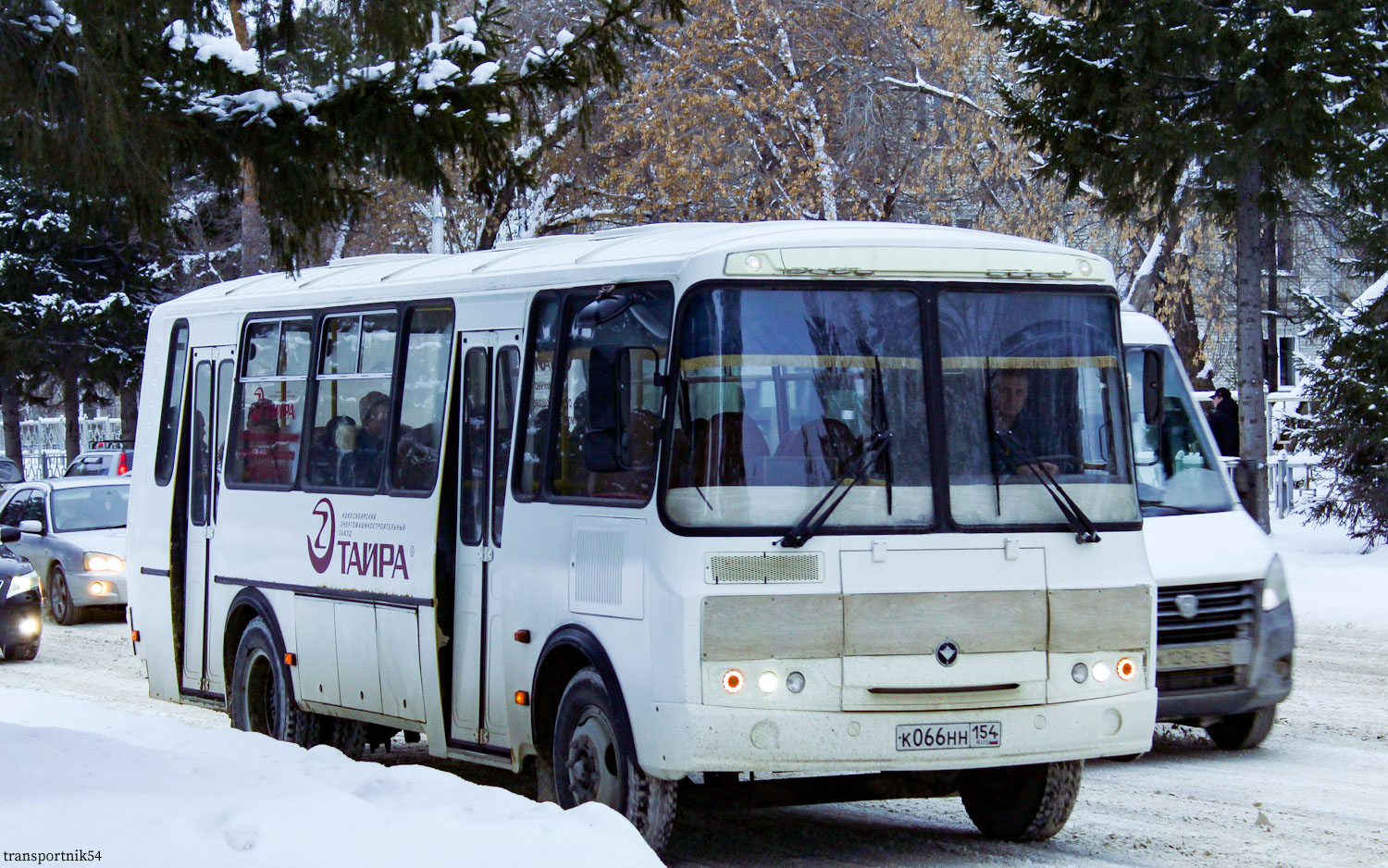 Новосибирская область, ПАЗ-4234-04 № К 066 НН 154