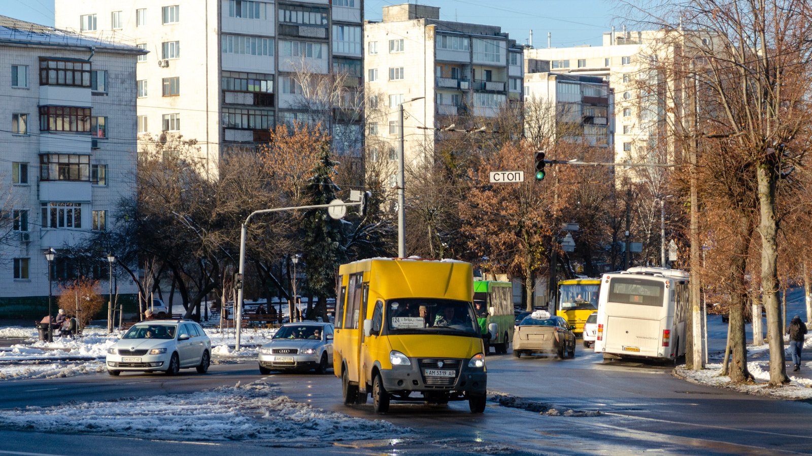 Zhitomir region, Ruta 20 № AM 5319 AP