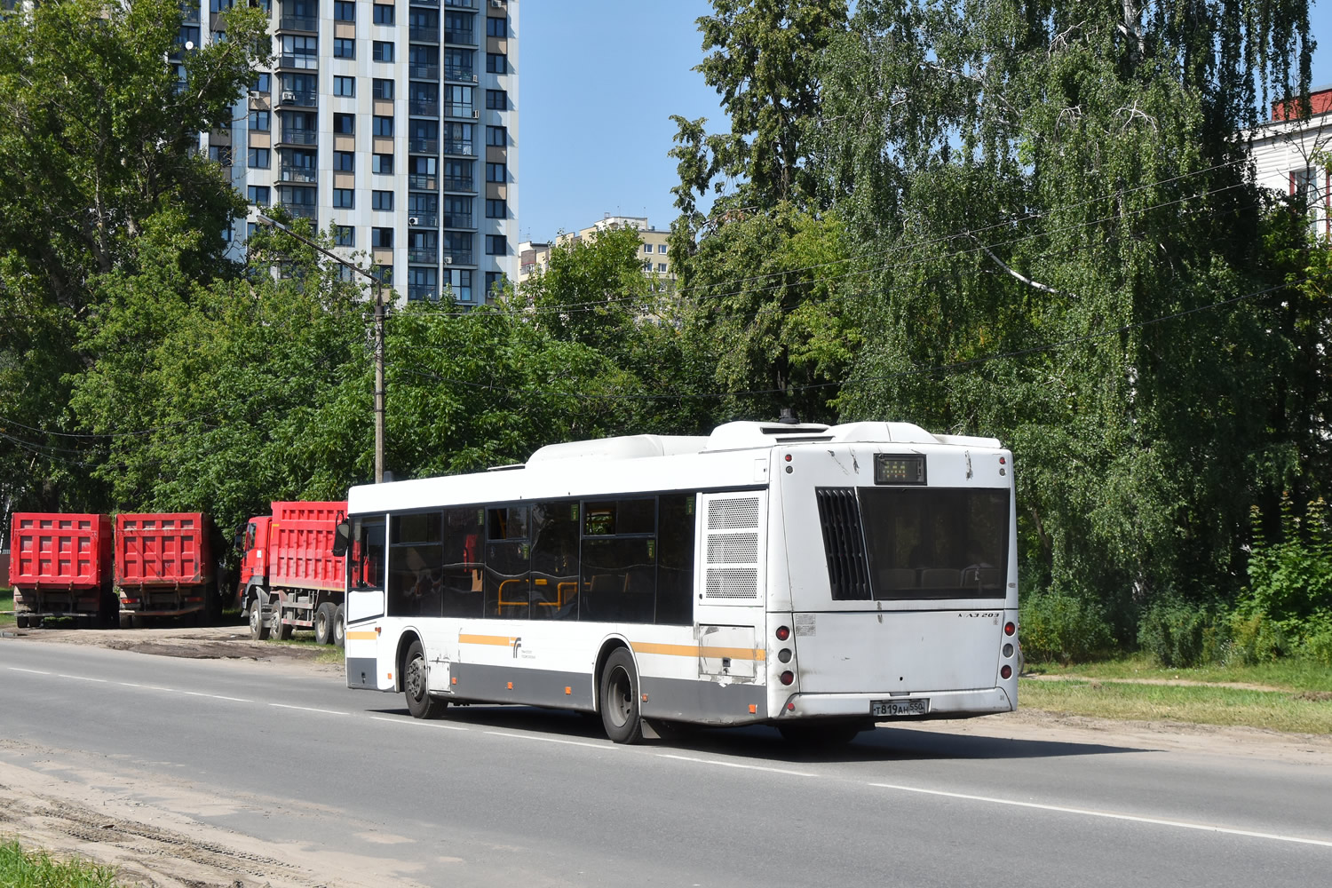 Московская область, МАЗ-203.016 № 123258