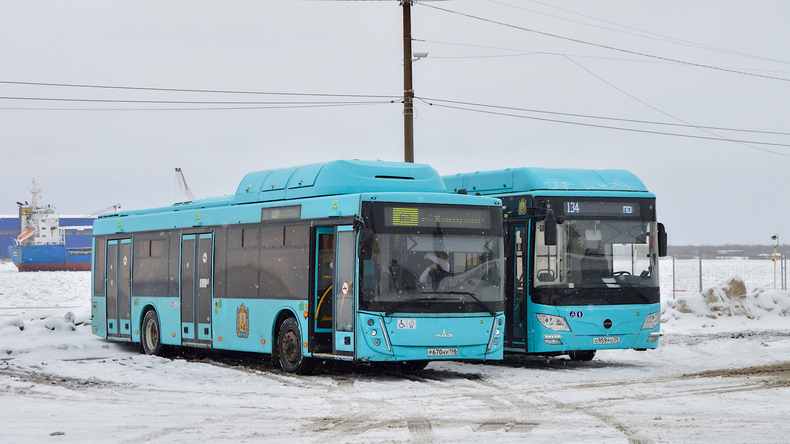 Архангельская область, МАЗ-203.948 № Р 670 НУ 198