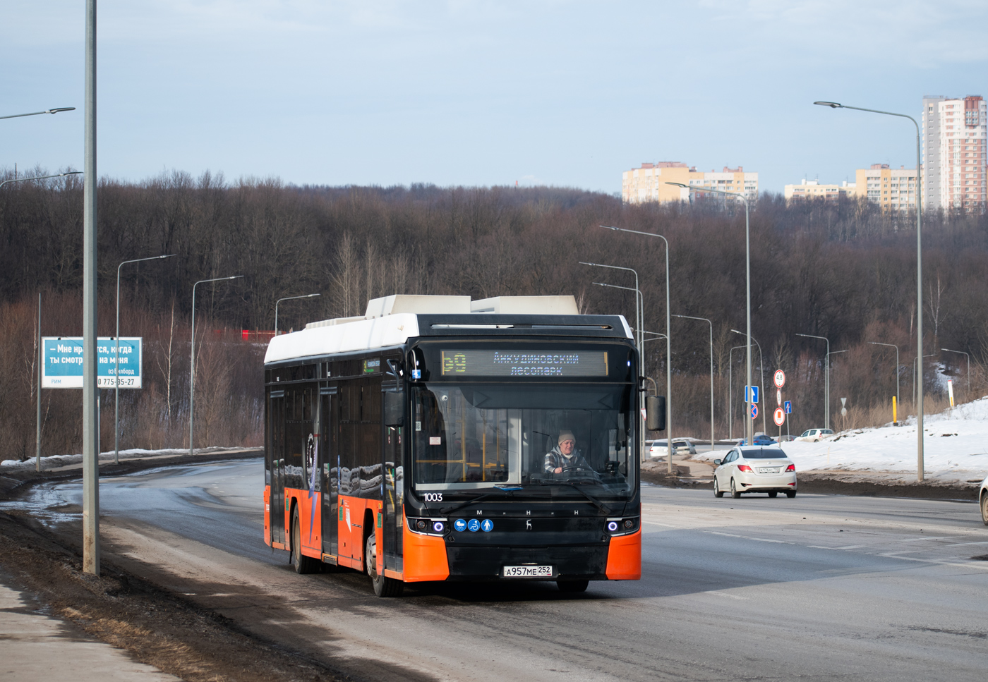Нижегородская область, Нижэкотранс-6256 (БКМ-Е450) № 1003