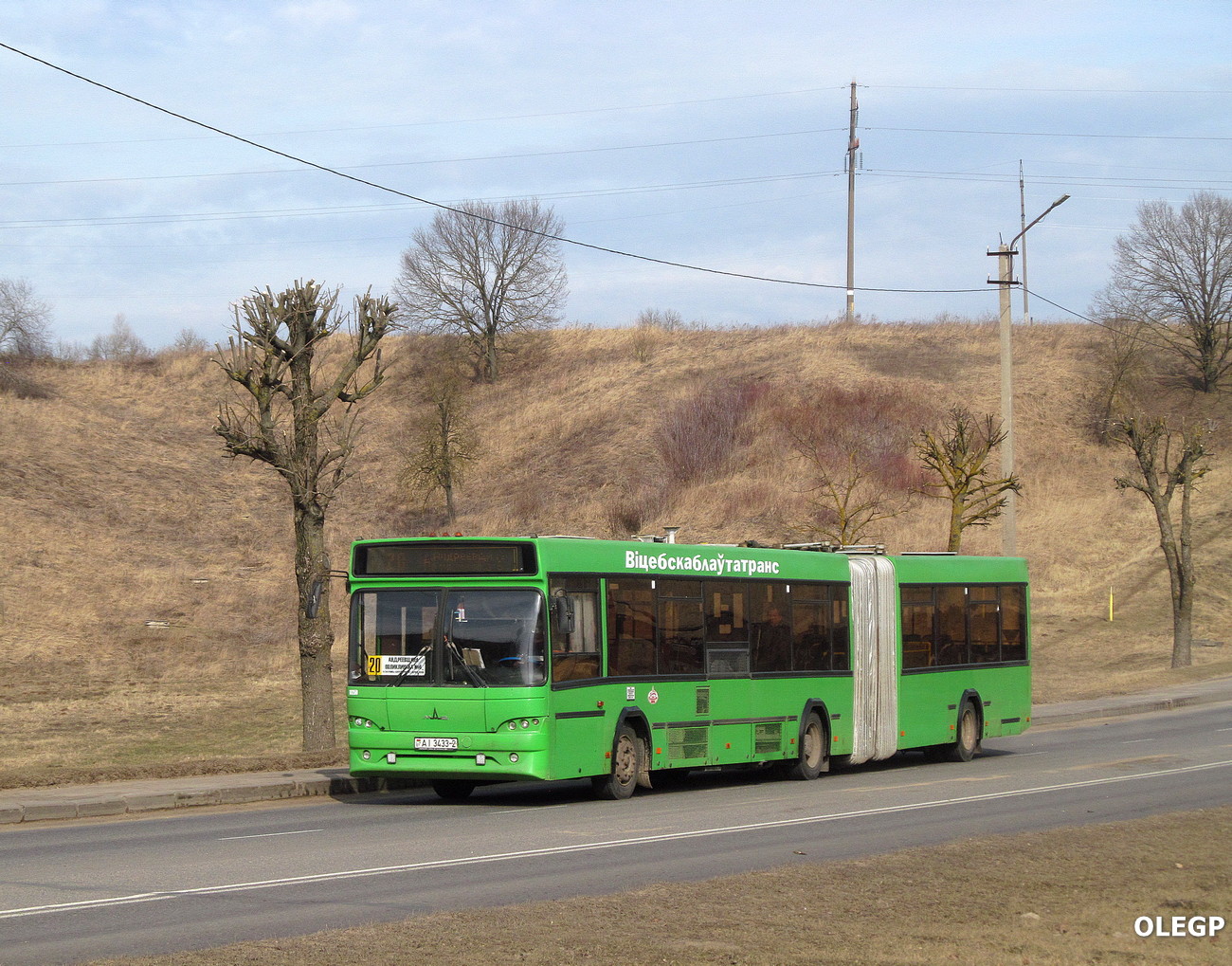 Витебская область, МАЗ-105.465 № 10250
