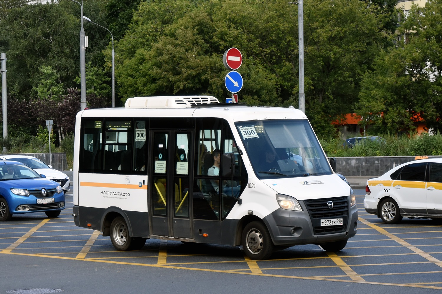 Московская область, Луидор-2250DS (ГАЗ Next) № 113168