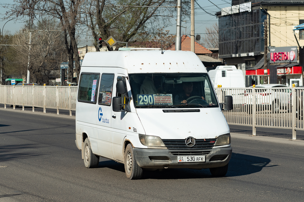 Кыргызстан, Kusters № 01 530 AFK