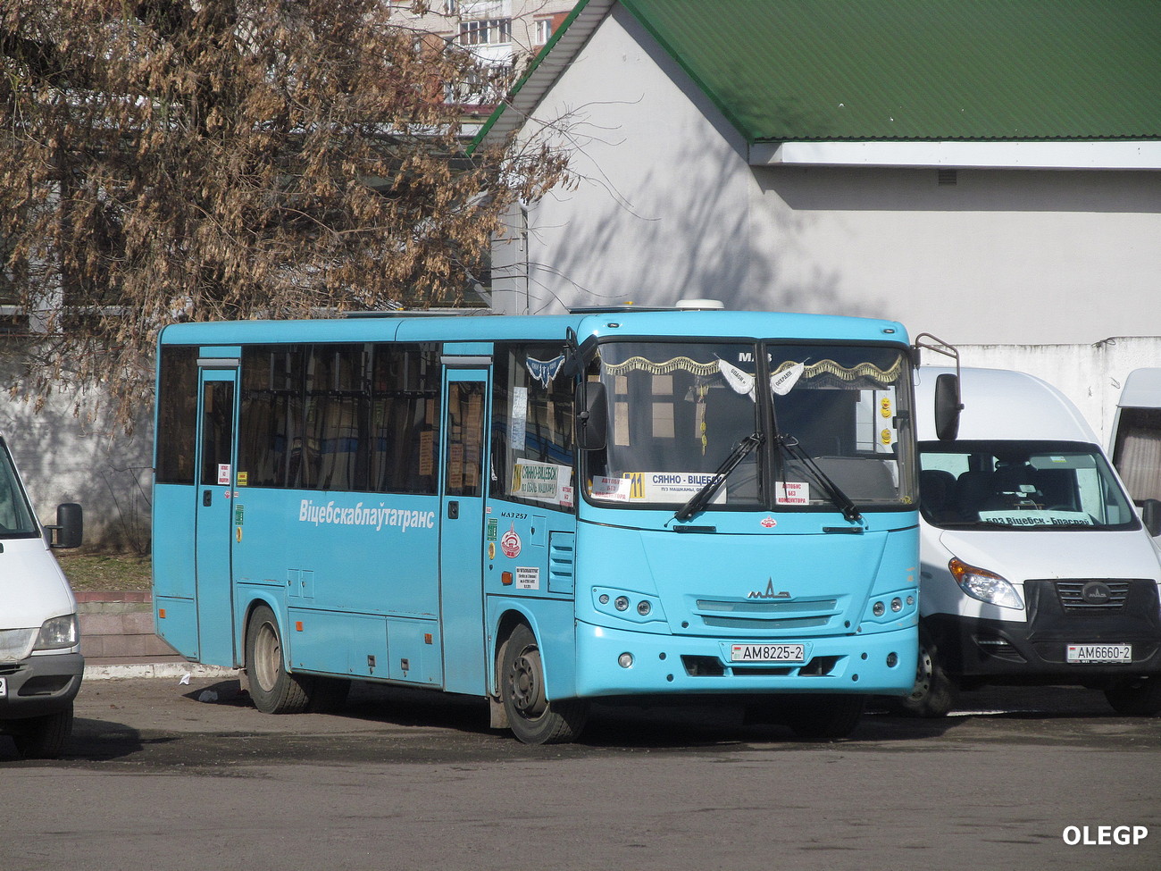 Витебская область, МАЗ-257.040 № 040274