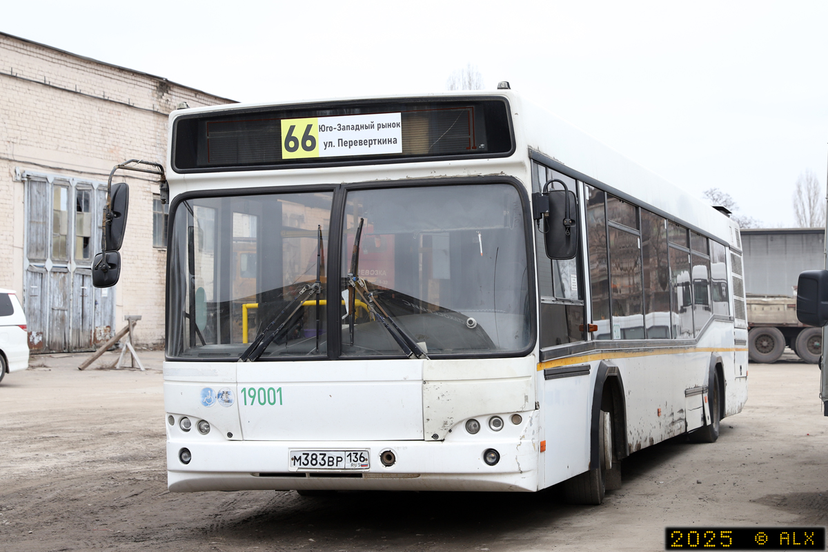 Воронежская область, МАЗ-103.585 № 19001