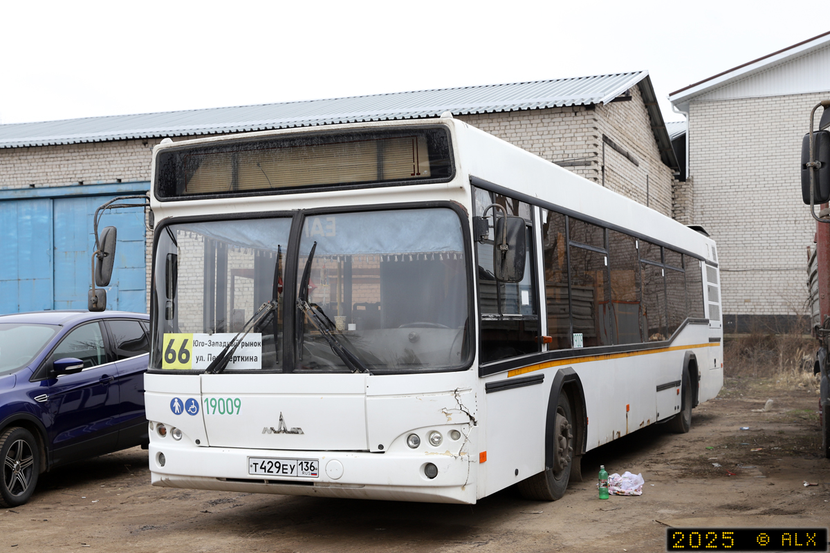 Воронежская область, МАЗ-103.585 № 19009