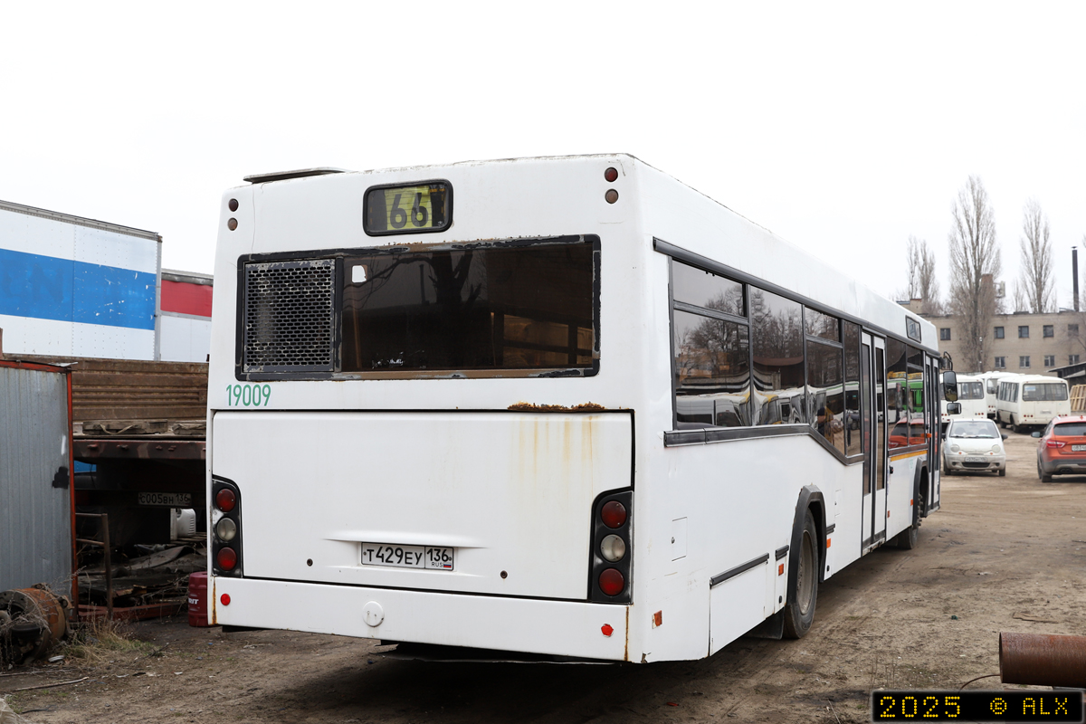 Воронежская область, МАЗ-103.585 № 19009