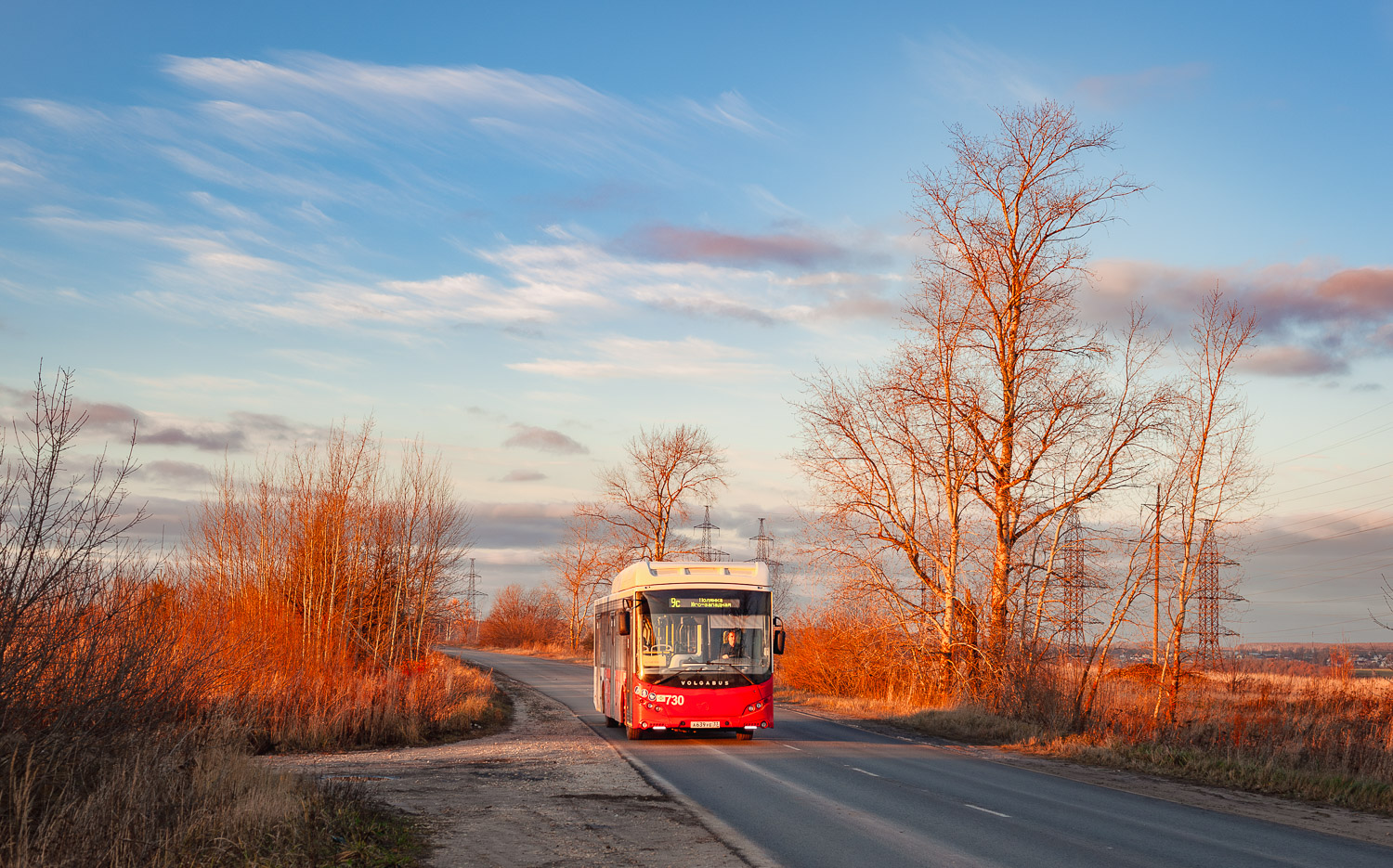 Владимирская область, Volgabus-5270.G4 (CNG) № 730 Владимирская область, Volgabus-5270.G4 (CNG) № 730