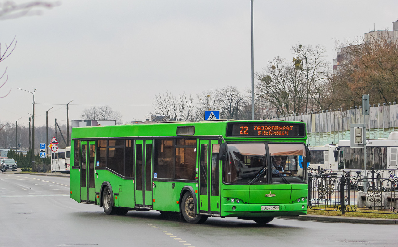 Brest region, MAZ-103.465 Nr. 376