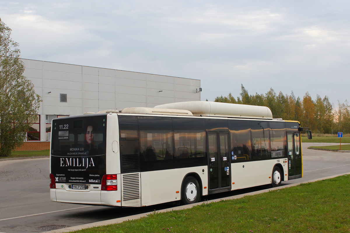 Литва, MAN A21 Lion's City NL313 CNG № 1183
