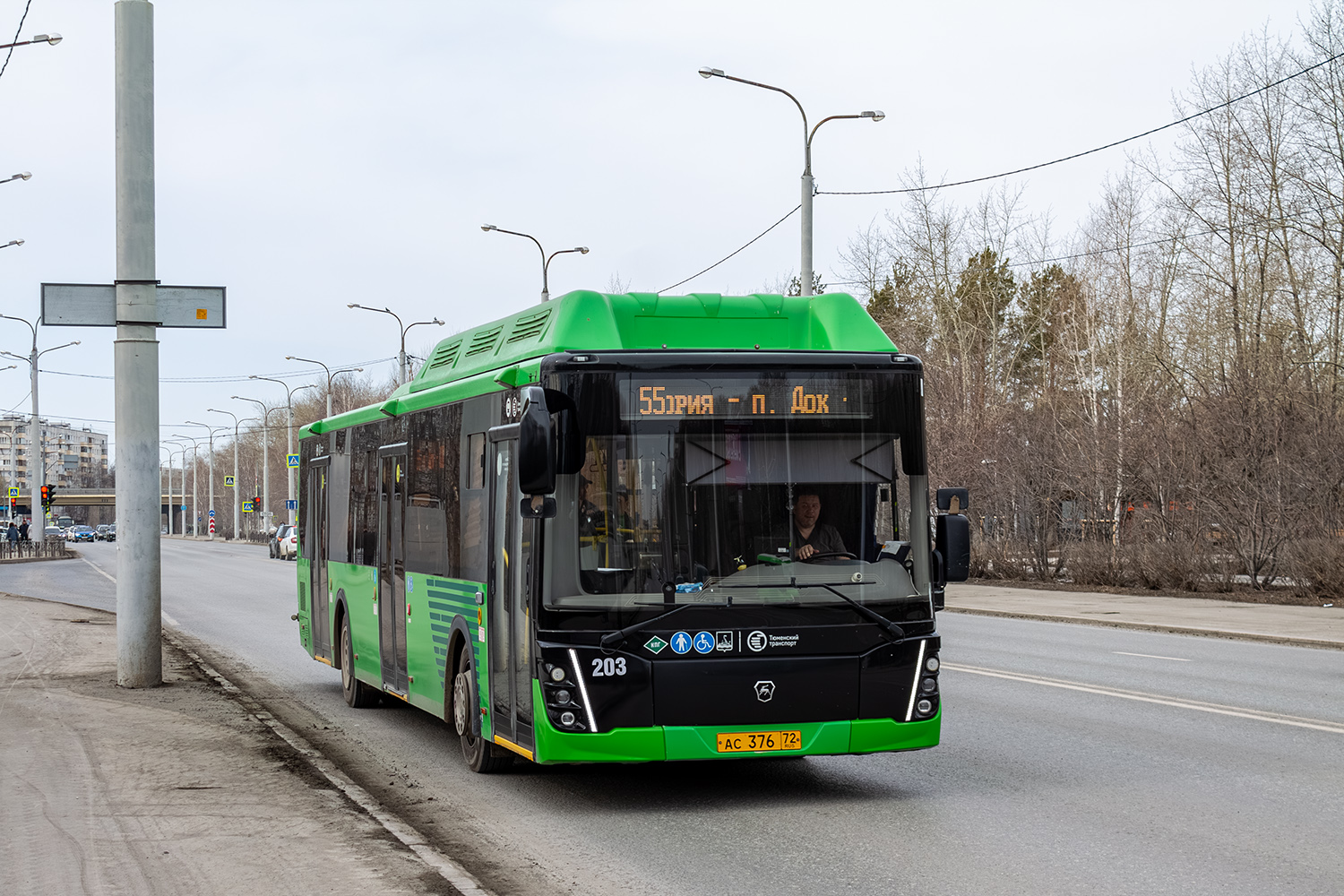 Тюменская область, ЛиАЗ-5292.67 (CNG) № 203 Тюменская область, ЛиАЗ-5292.67 (CNG) № 203