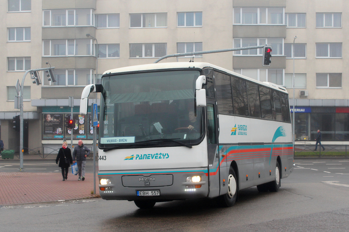 Литва, MAN A03 Lion's Star RH403 № 3443