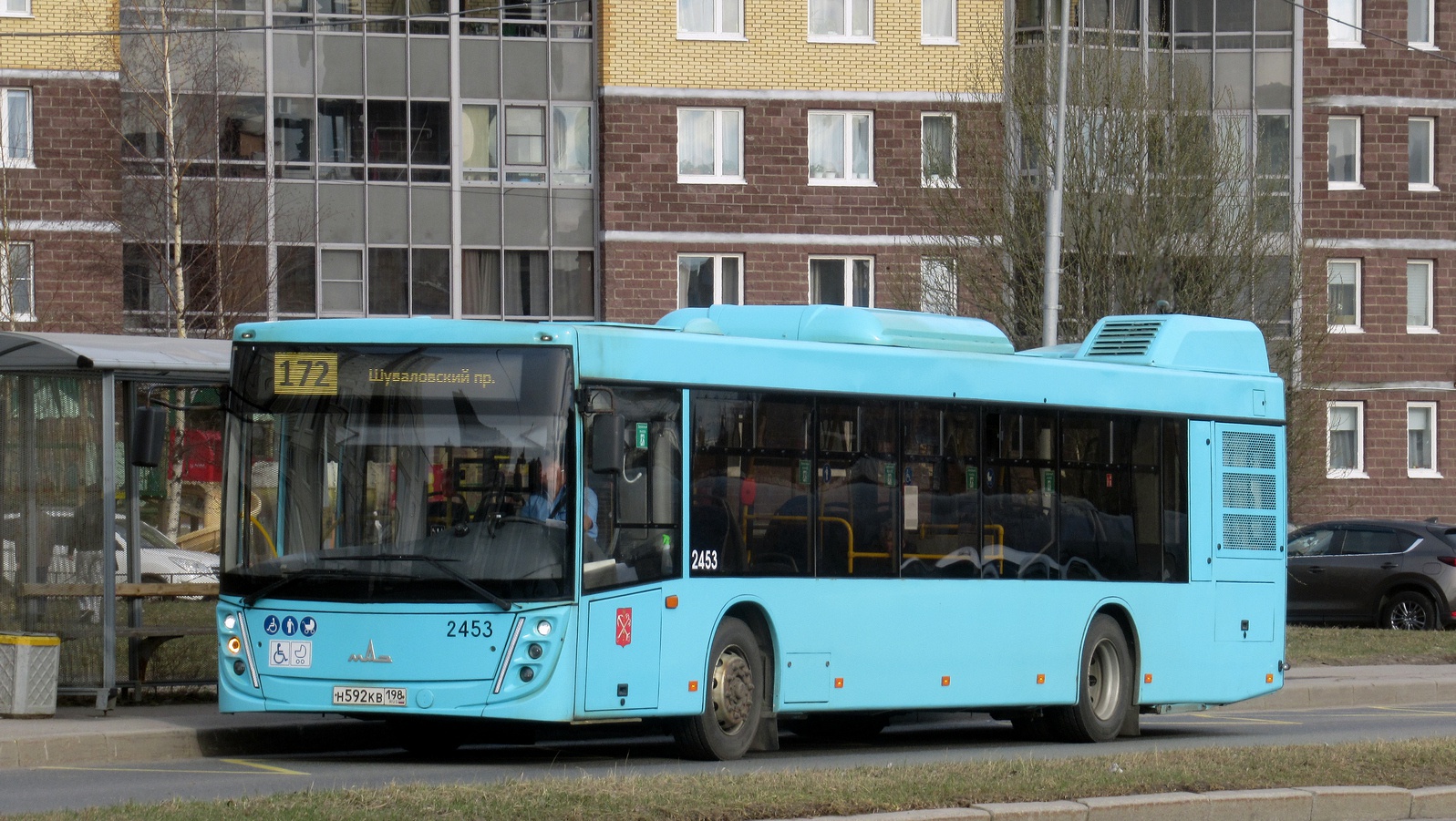 Sankt Petersburg, MAZ-203.047 Nr. 2453