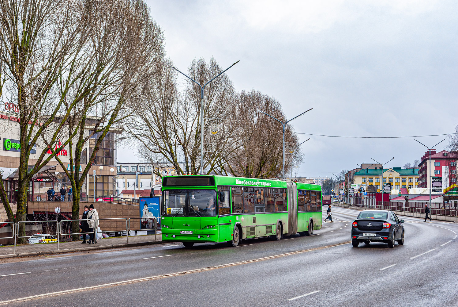 Витебская область, МАЗ-105.465 № 10250