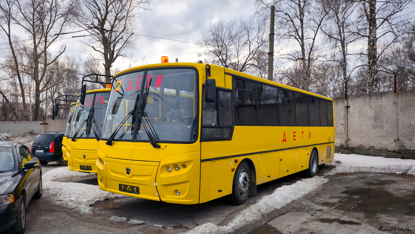 Новосибирская область, КАвЗ-4238-A5 № P 905 PT 154