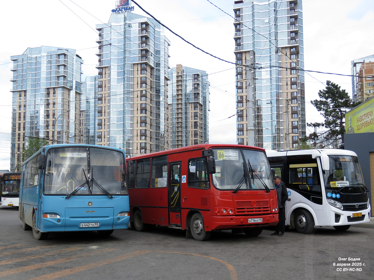 Краснодарский край, ПАЗ-423003-10 № Е 442 ТО 93
