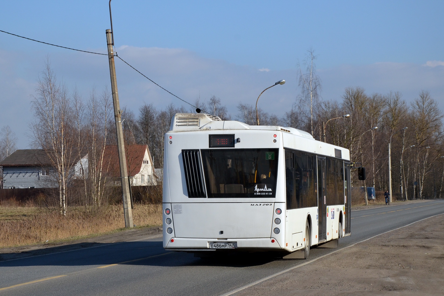 Ленинградская область, МАЗ-203.147 № Е 486 МР 147