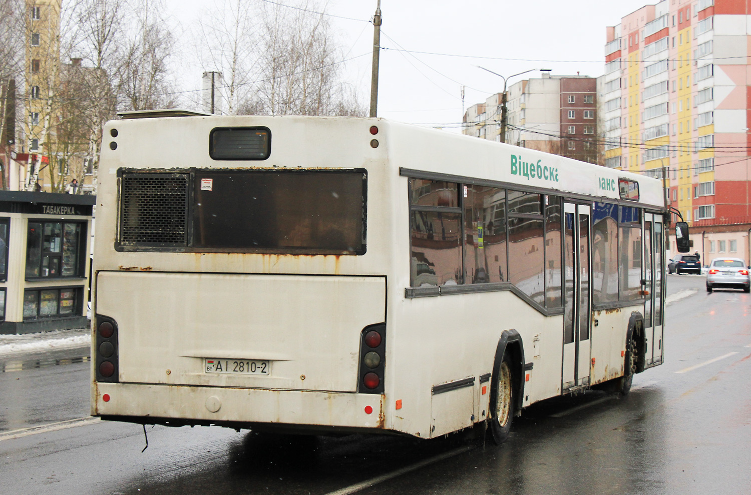 Витебская область, МАЗ-103.562 № 022731