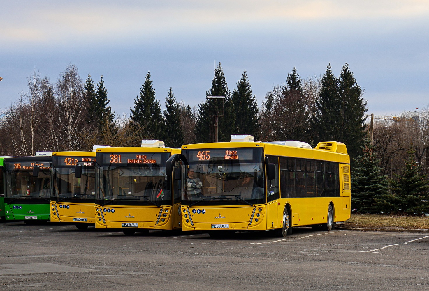 Минская область, МАЗ-203.147 № ВВ 0683-5