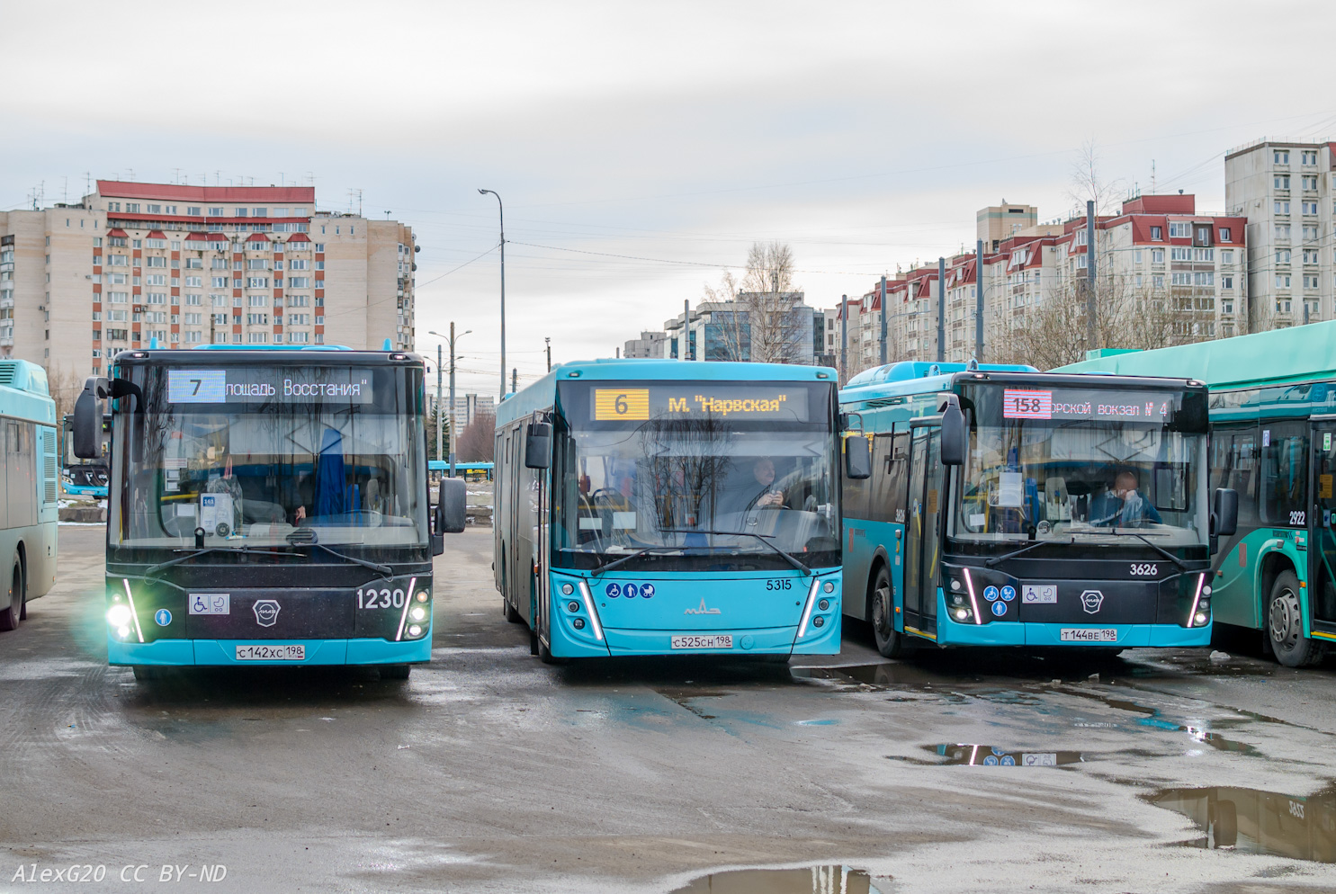 Санкт-Петербург, ЛиАЗ-5292.65 № 1230; Санкт-Петербург, МАЗ-203.047 № 5315