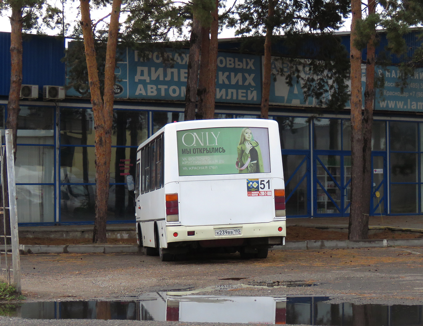 Краснодарский край, ПАЗ-320302-12 № Х 239 ВВ 193