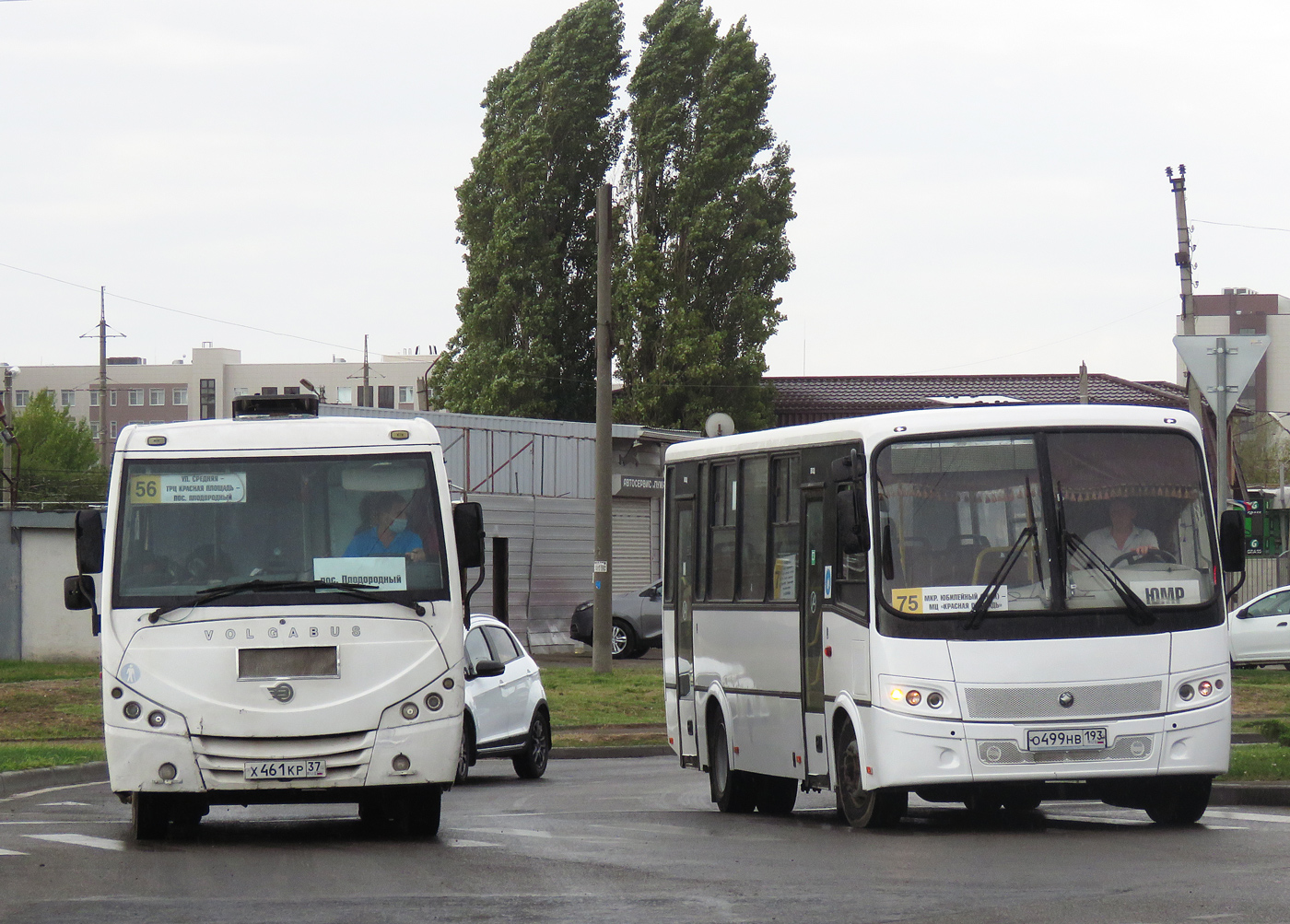 Краснодарский край, Volgabus-4298.01 № Х 461 КР 37; Краснодарский край, ПАЗ-320412-05 "Вектор" № О 499 НВ 193