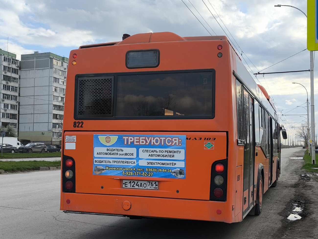 Ростовская область, МАЗ-103.965 № 822