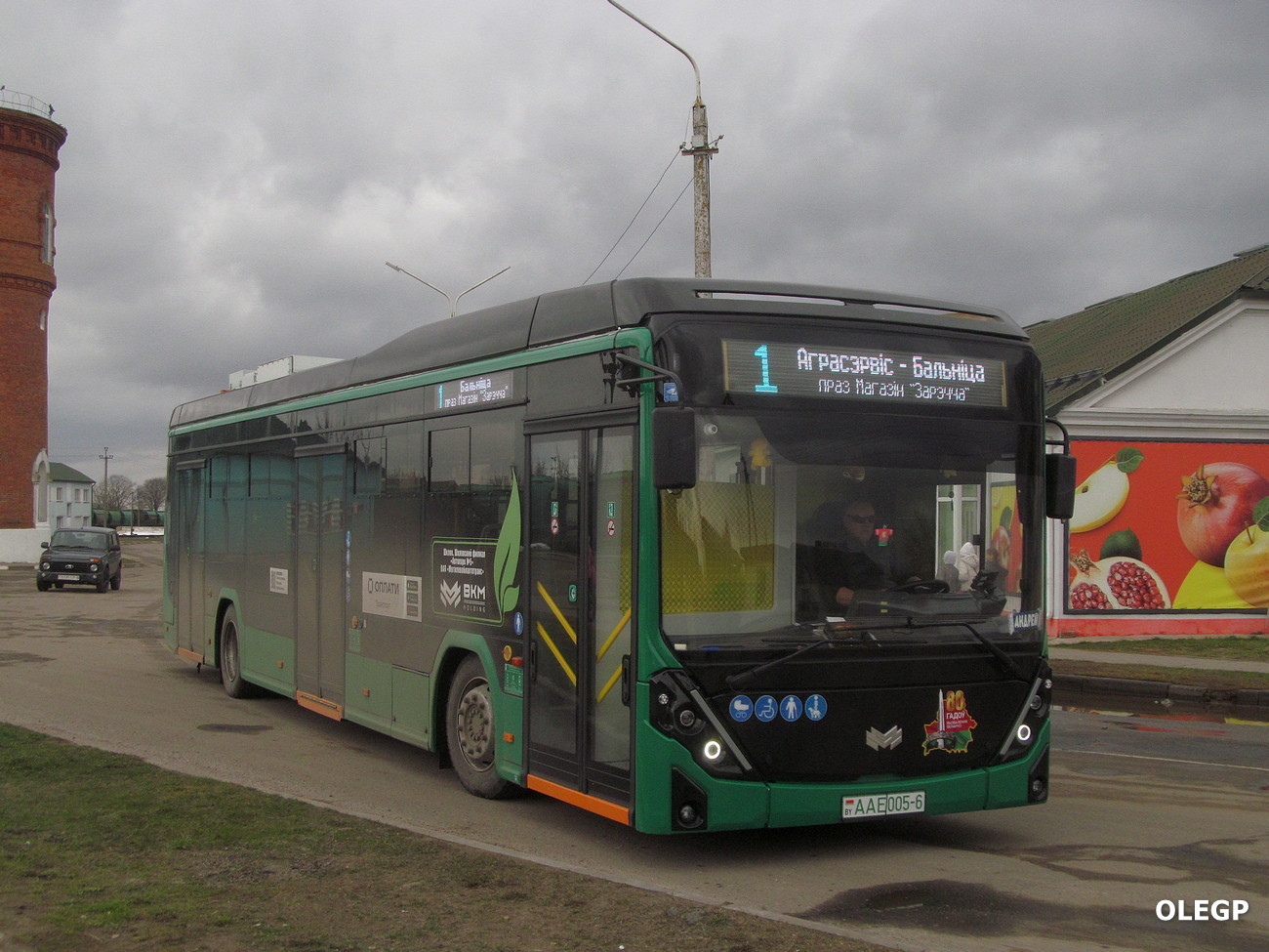 Могилёвская область, БКМ E321 "Ольгерд" № АА Е005-6