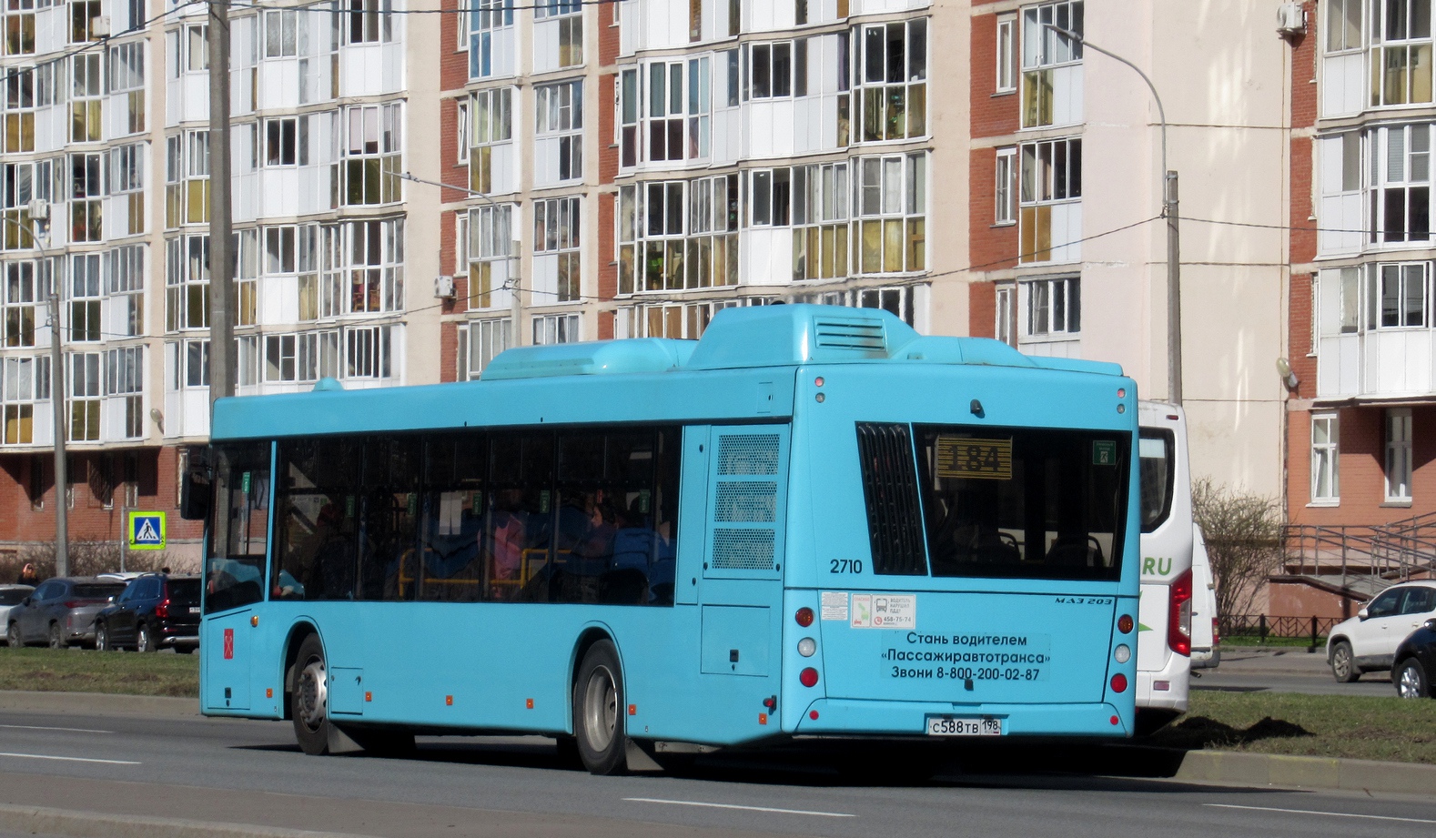 Санкт-Петербург, МАЗ-203.047 № 2710