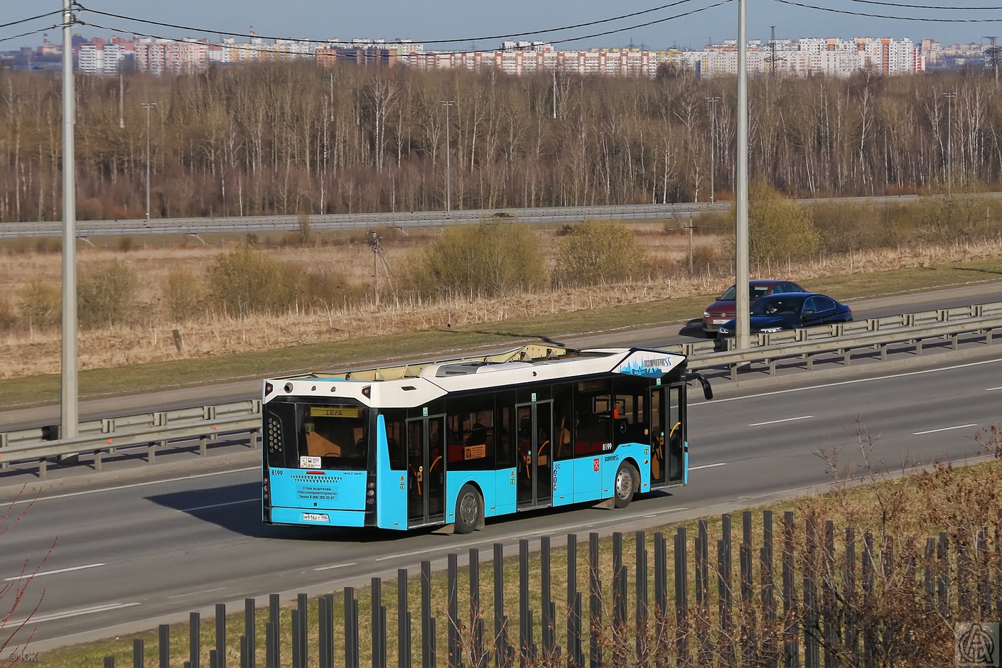 Saint Petersburg, MAZ-303.065 # 8199