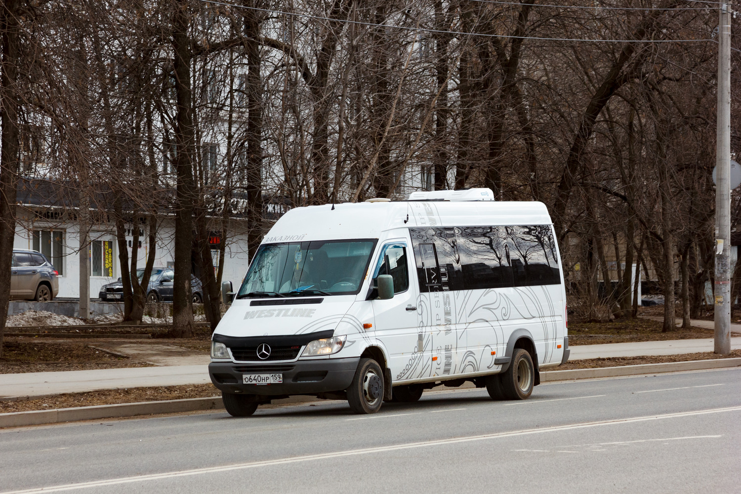 Пермский край, Луидор-223212 (MB Sprinter Classic) № О 640 НР 159