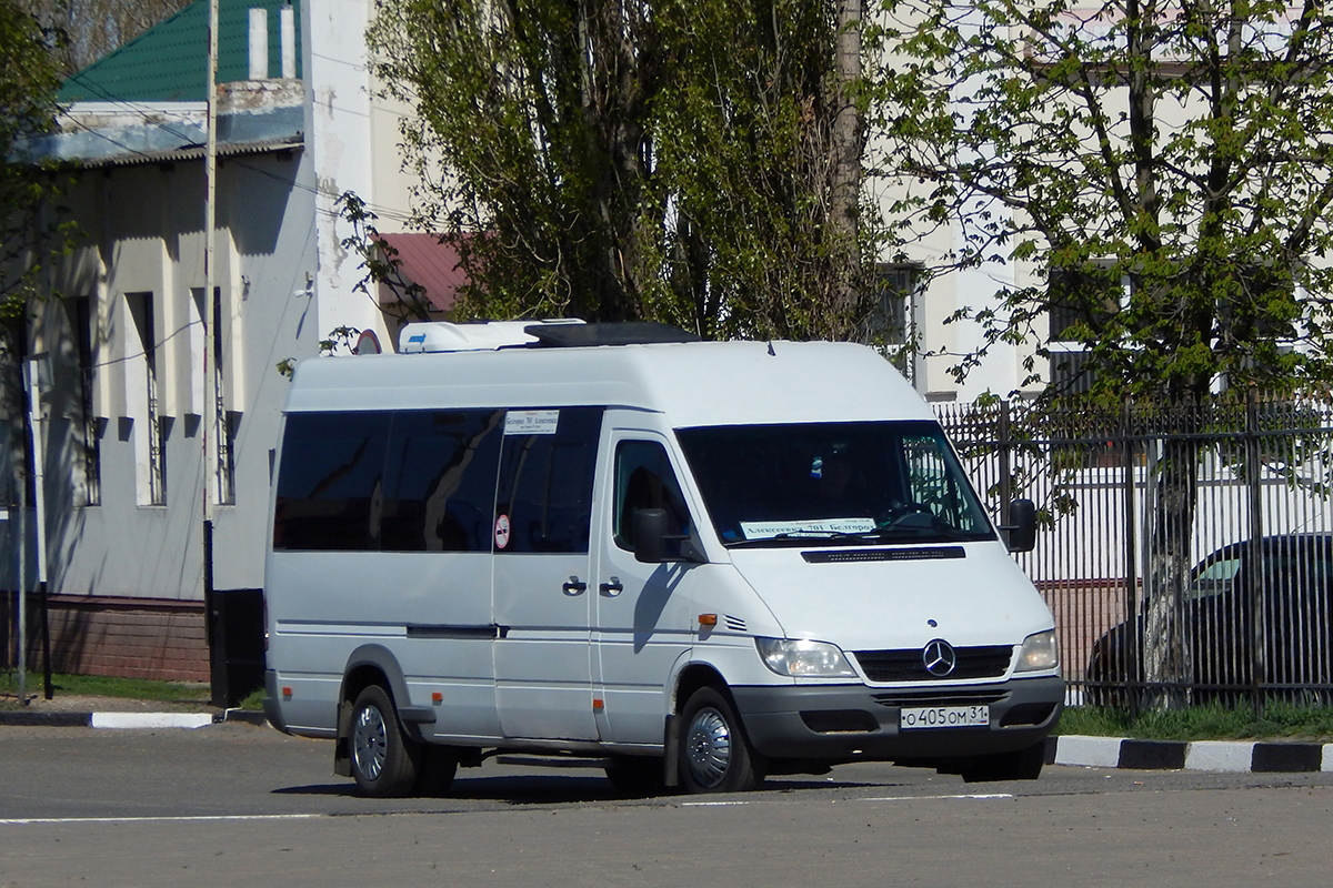 Белгородская область, Луидор-223201 (MB Sprinter Classic) № О 405 ОМ 31