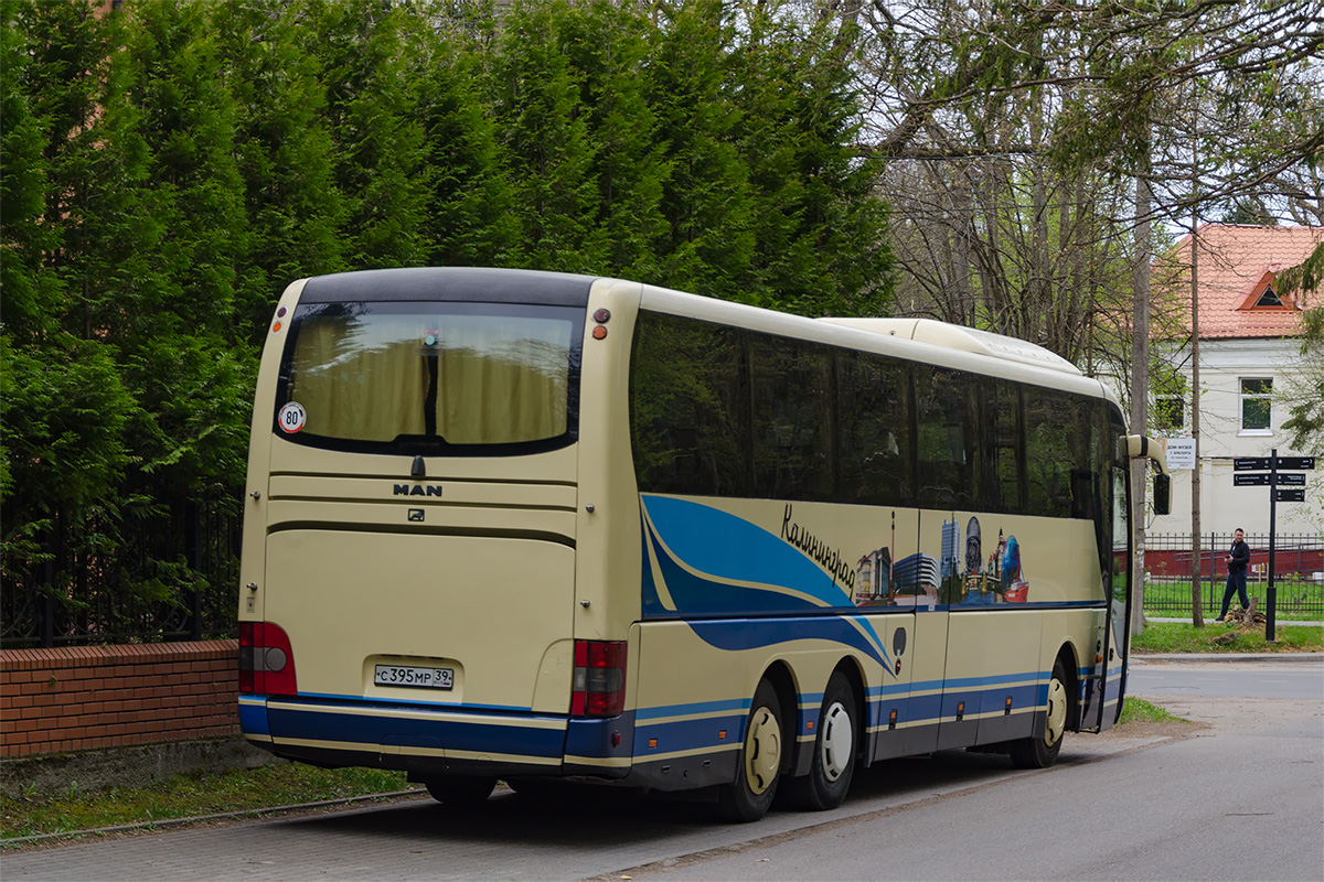 Калининградская область, MAN R09 Lion's Coach C RHC444 C № С 395 МР 39