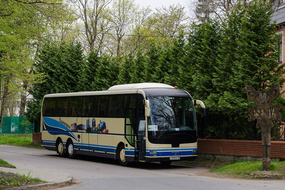 Калининградская область, MAN R09 Lion's Coach C RHC444 C № С 395 МР 39