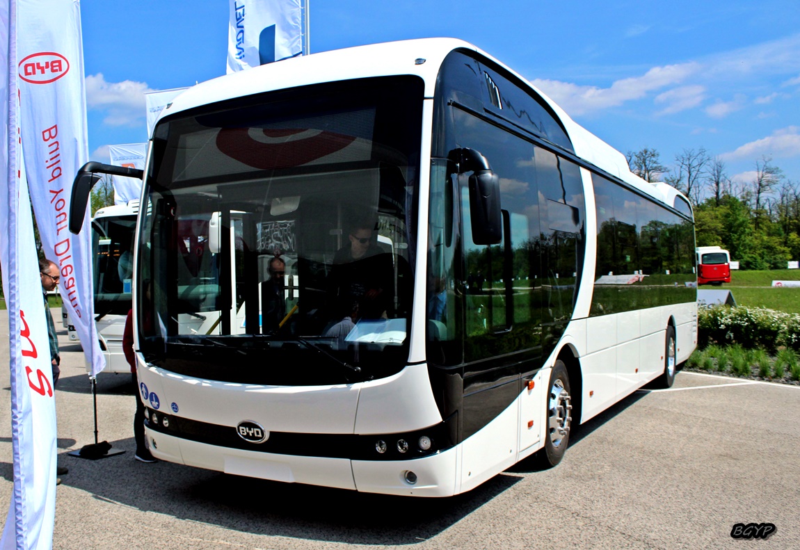 Венгрия, BYD K9UD № P-02421 19; Венгрия — Busexpo 2019, Zsámbék