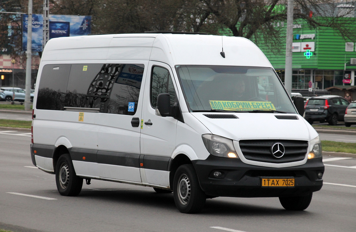 Брестская область, Бус-Мастер 3515N/R (MB Sprinter) № 1 ТАХ 7025
