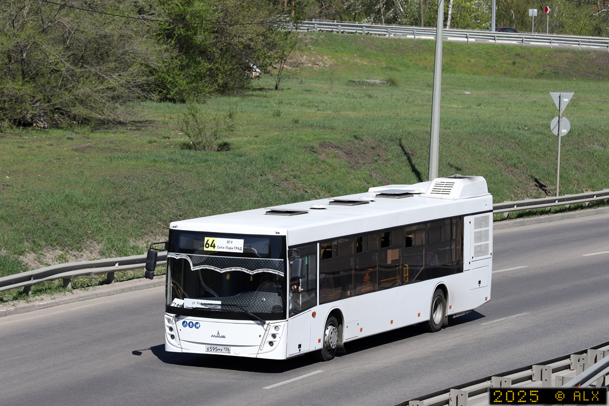 Воронежская область, МАЗ-203.147 № Е 595 МХ 136