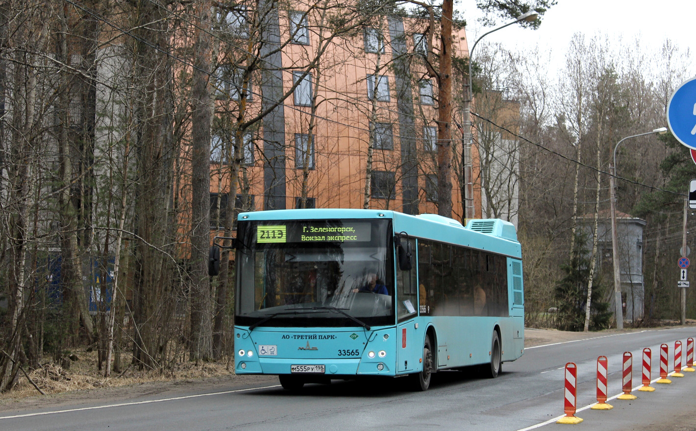 Санкт-Петербург, МАЗ-203.C45 № 33565