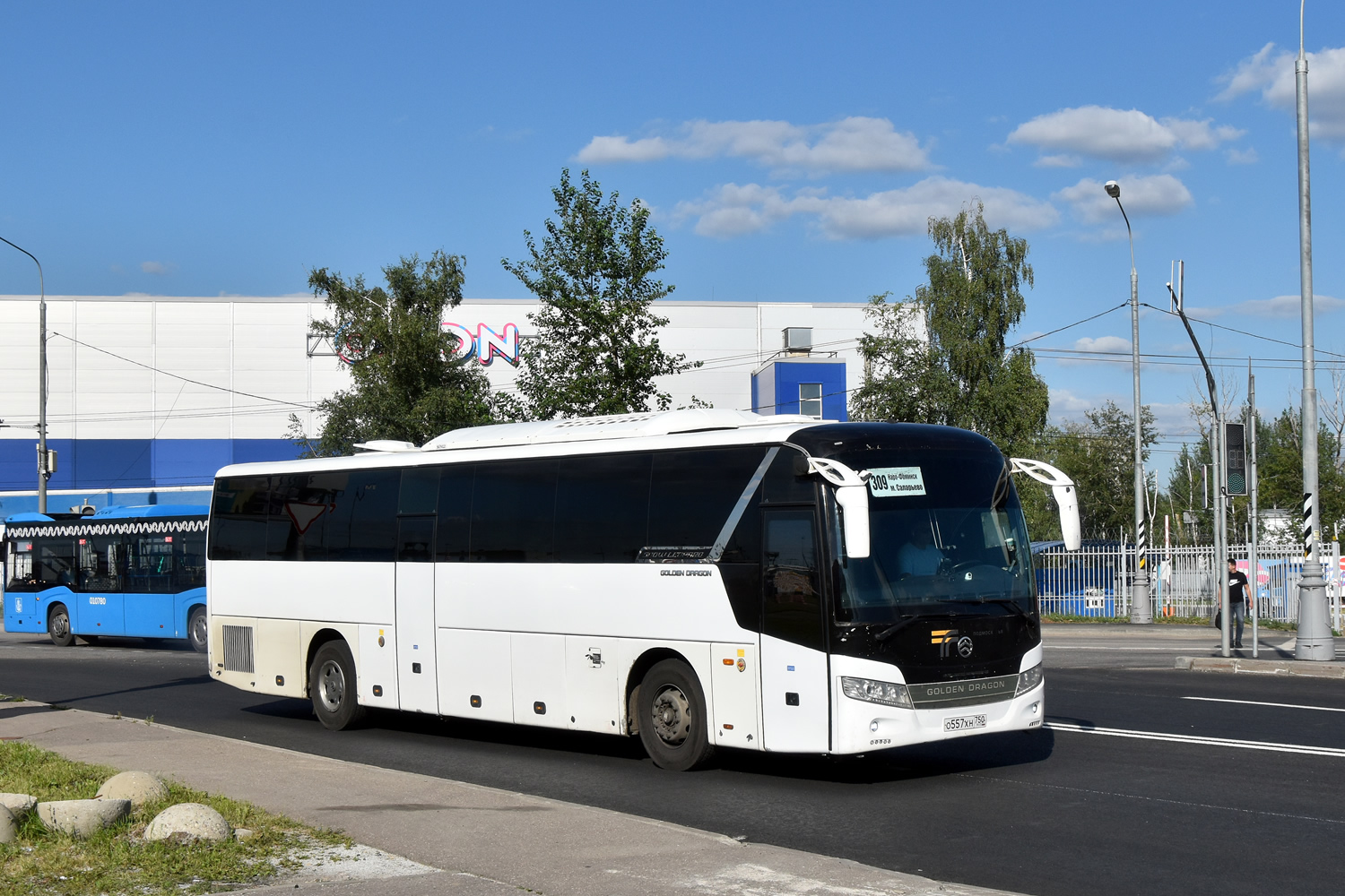 Московская область, Golden Dragon XML6127JR Snow Leopard № 066214