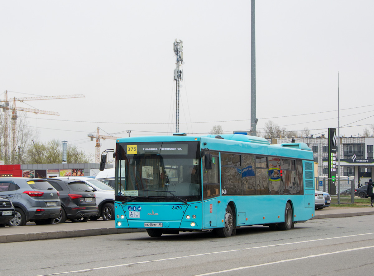 Санкт-Петербург, МАЗ-203.016 № 8470