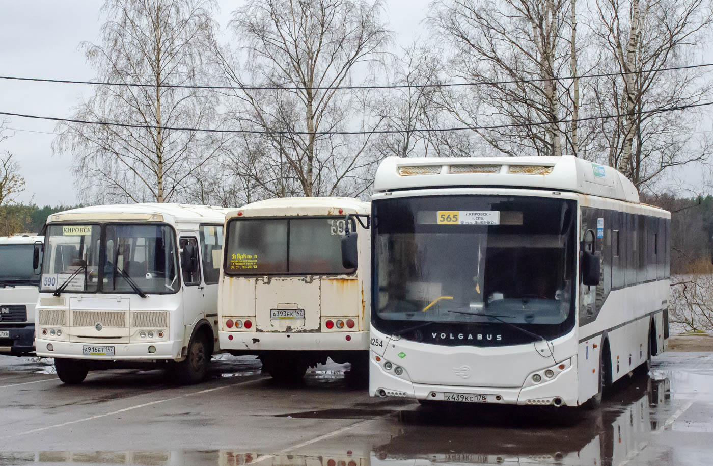 Санкт-Петербург, Volgabus-5285.G2 № 4254