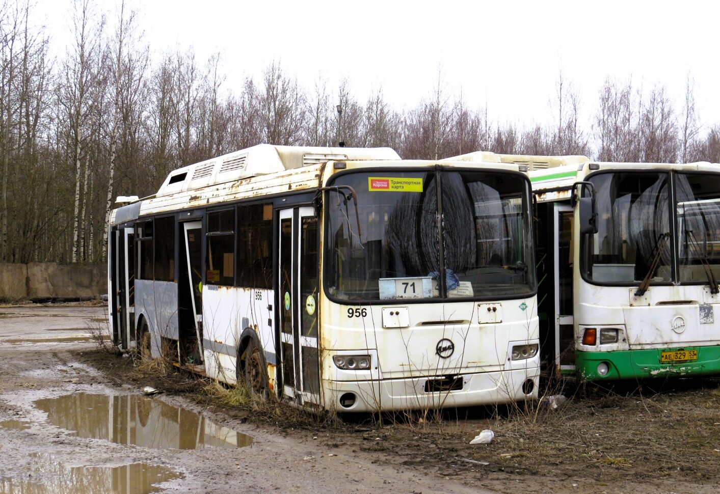 Новгородская область, ЛиАЗ-5293.70 № 956