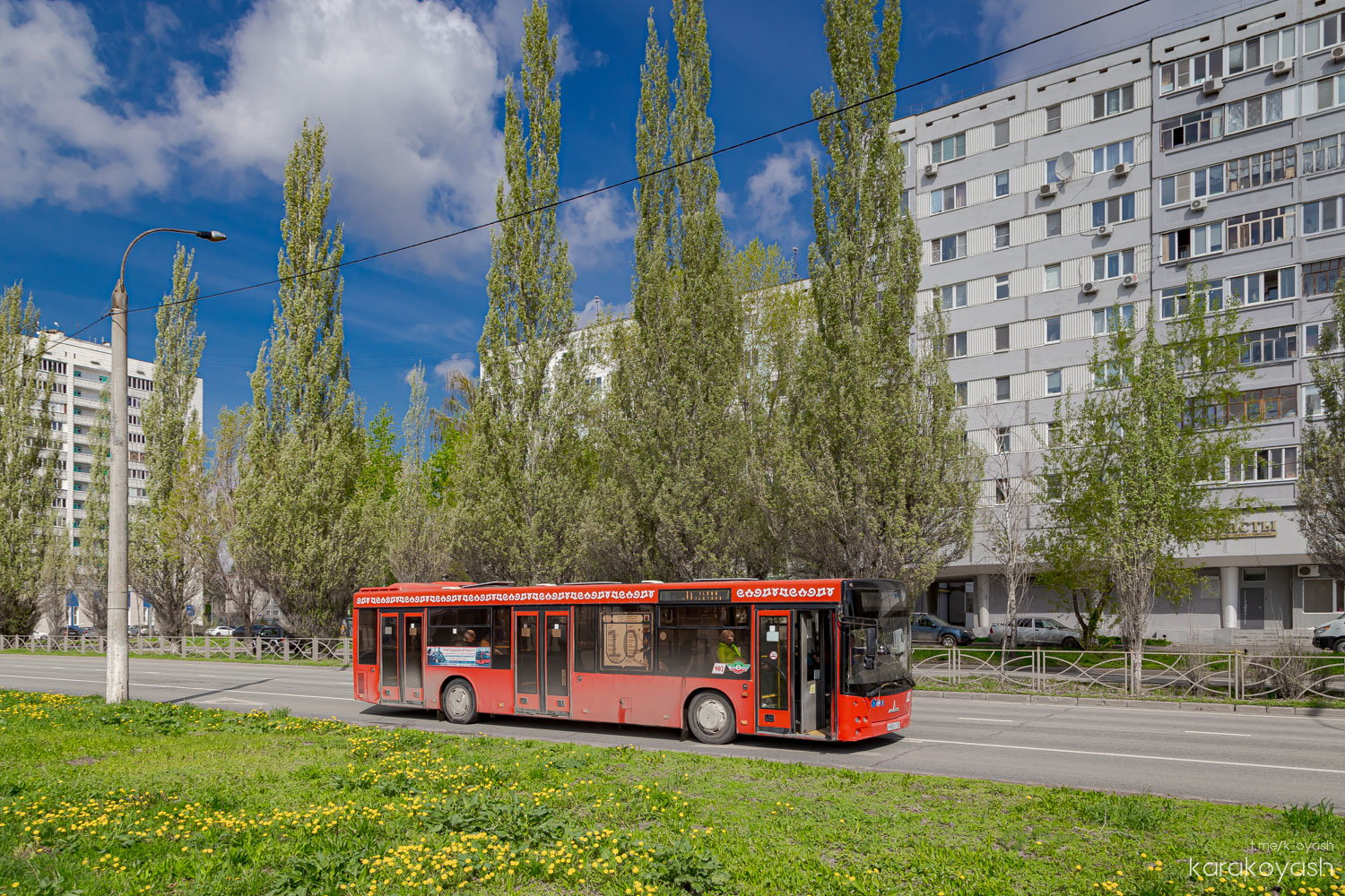 Татарстан, МАЗ-203.069 № 907