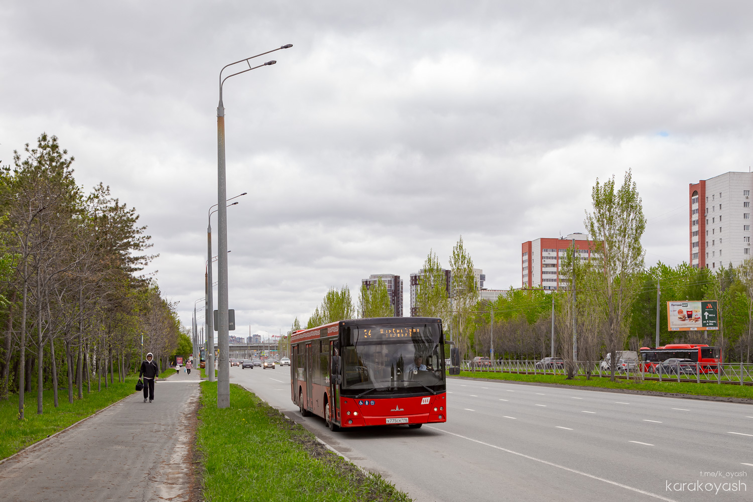 Татарстан, МАЗ-203.069 № 444